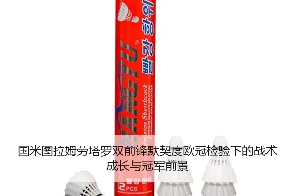 国米图拉姆劳塔罗双前锋默契度欧冠检验下的战术成长与冠军前景